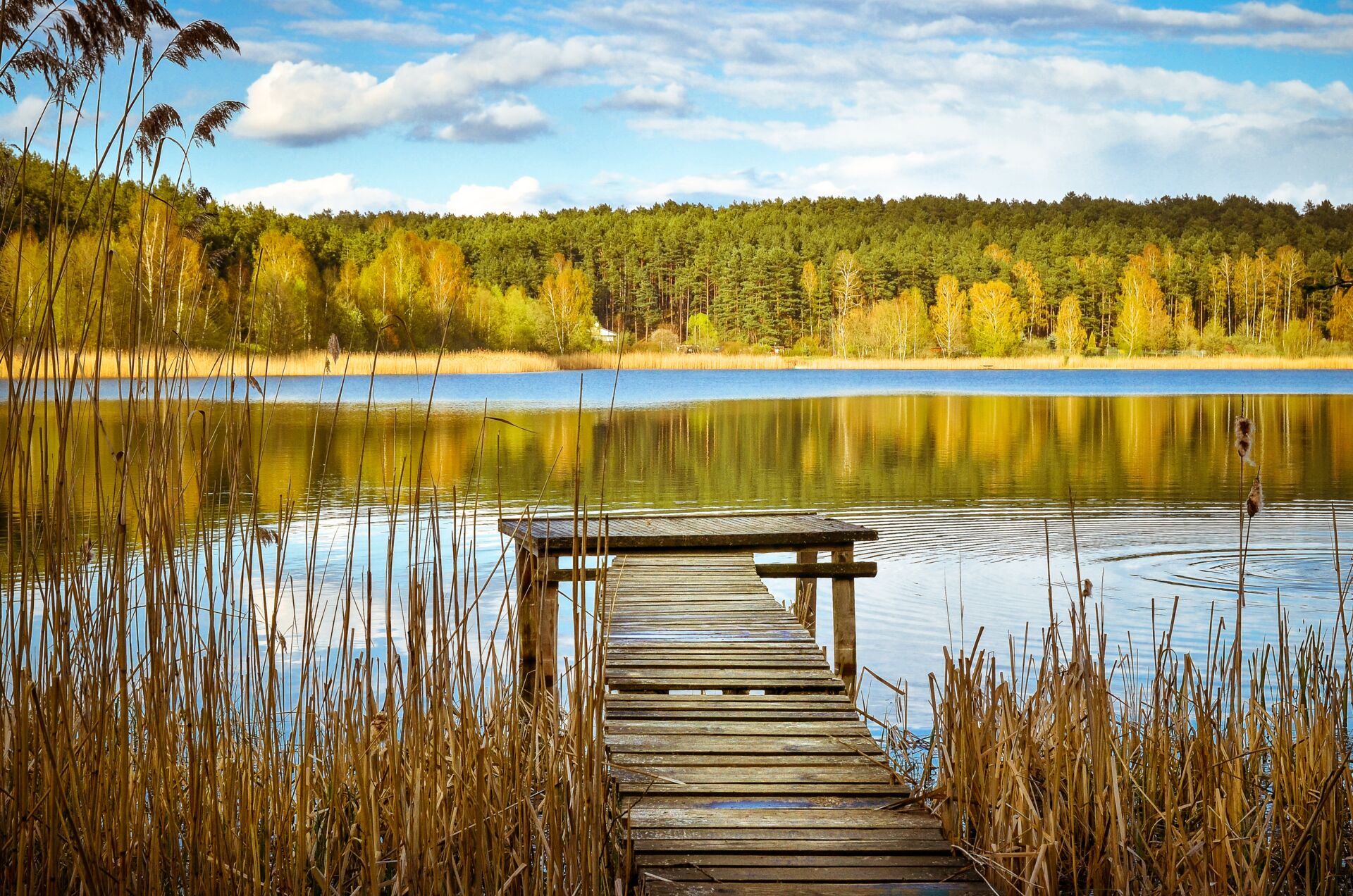Ein ruhiger See in Masuren mit einem Steg, der in den See führt, typisch für die malerische Landschaft